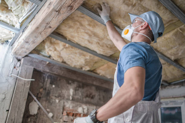 Best Geographic-Specific Insulation Services in Cottage City, MD