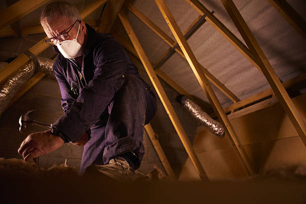 Types of Insulation We Offer in Cottage City, MD