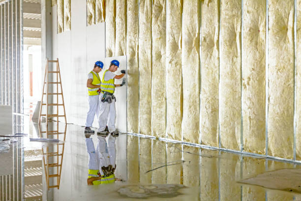 Best Commercial Insulation in Cottage City, MD